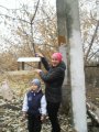 "Синичкин день"