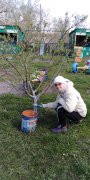 Субботник «Детский сад — наш общий дом, пусть будет чисто и уютно в нём!»
