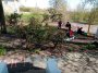 Всероссийский субботник.