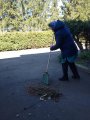 Весенний субботник