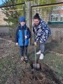 Акция "Мы сажаем новый сад"